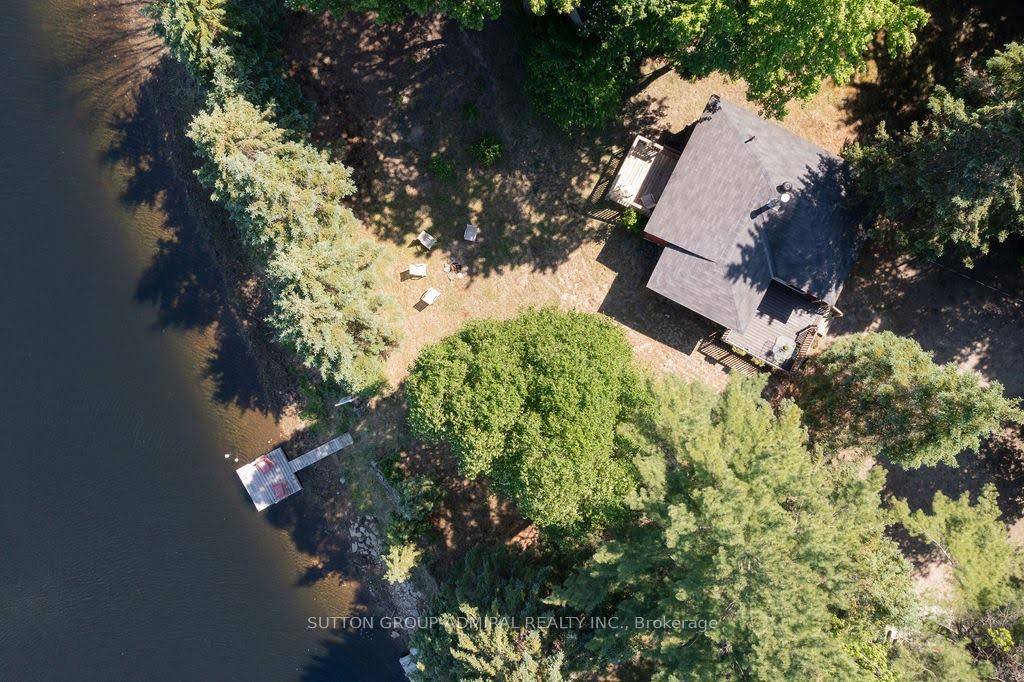AFFORDABLE Muskoka River Direct WATERFRONT oasis with 100 Feet of shoreline.