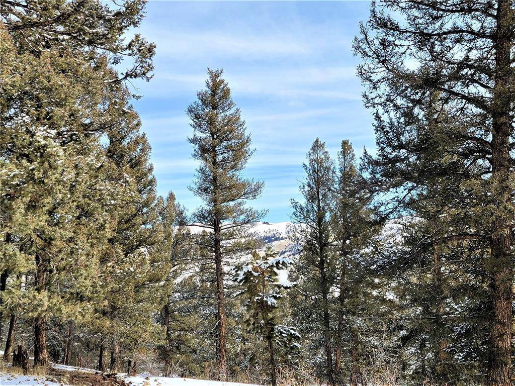 A really nice high flat lot of beautiful treed 2 acres.