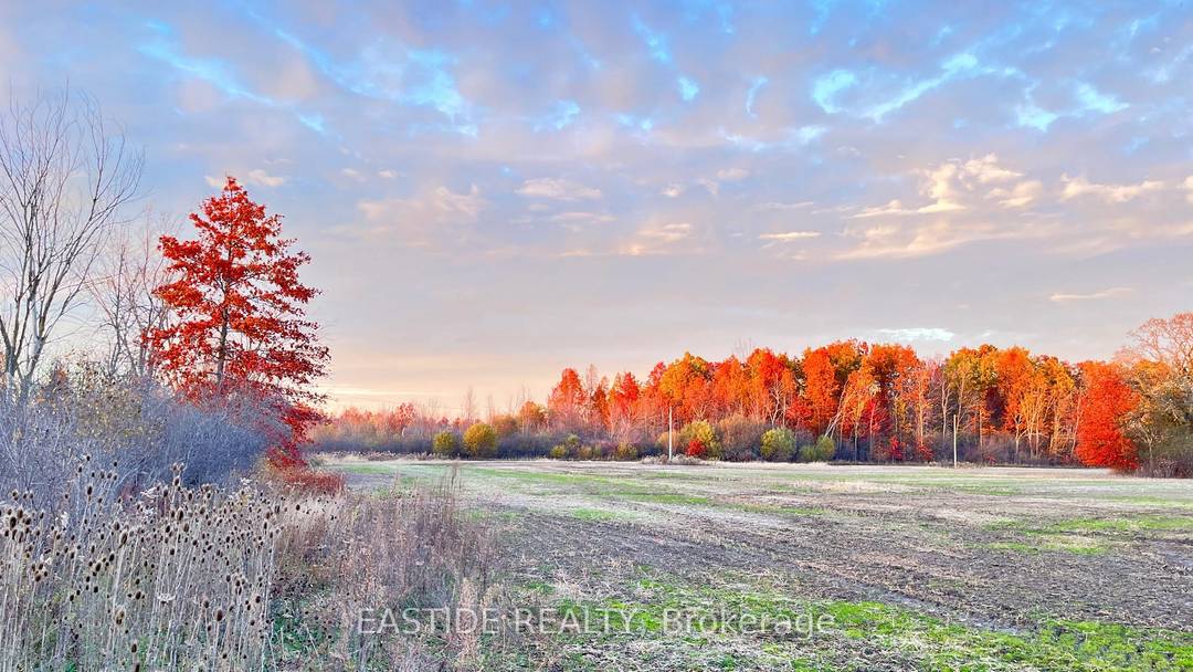 Welcome to 12880 Ort Rd, a rare opportunity to acquire a sizable parcel of undeveloped land in the growing area of Niagara Falls.