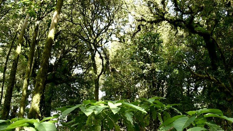Sought after Torino area vacant lot ready for your custom home.