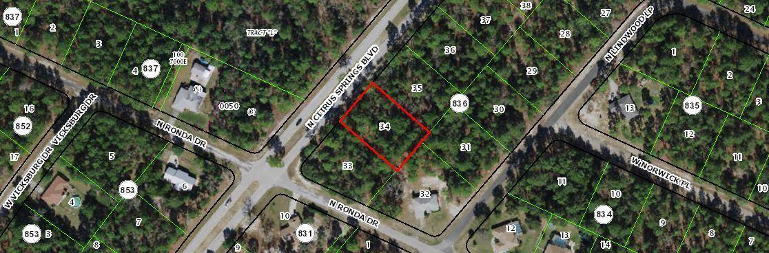 BUILD YOUR CUSTOM HOME ON THIS OVERSIZED LOT.