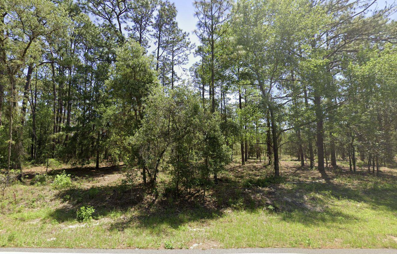 Tbd NW Ridgewood Road Land Palm Beach