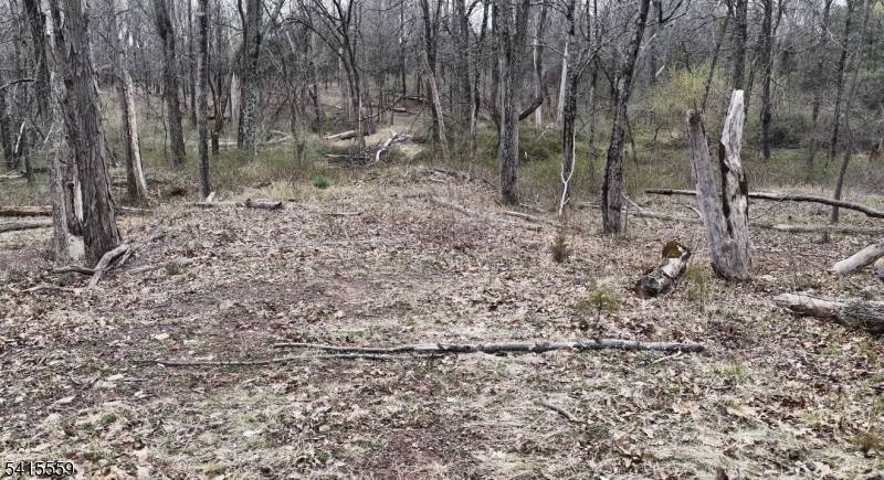 Rare opportunity to create a fully custom home tailored to your lifestyle.