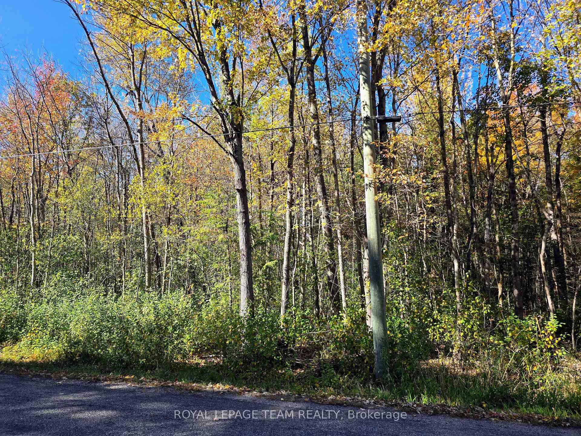 Imagine owning your own expansive sanctuary a fully treed, 29 acre parcel perfectly poised for transformation on scenic Dukelow Road in the charming township of Edwardsburgh Cardinal.