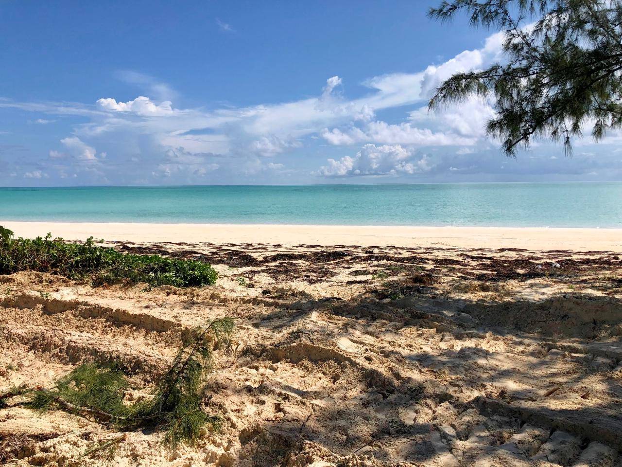 1.5 ACRES BEACHFRONT LOT Land Andros