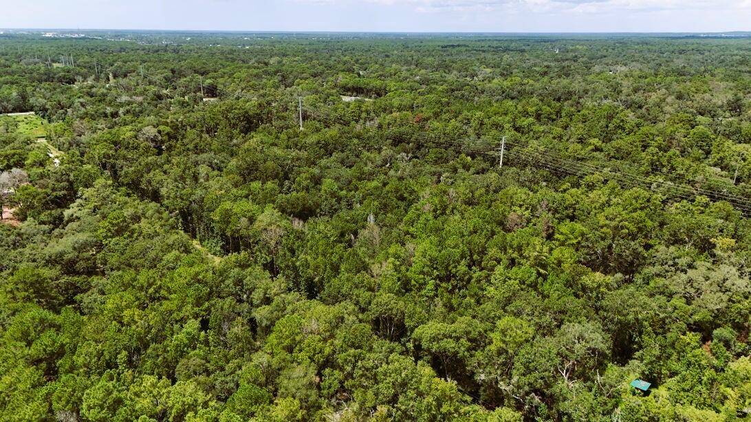Discover the potential of this pristine, undeveloped 9.