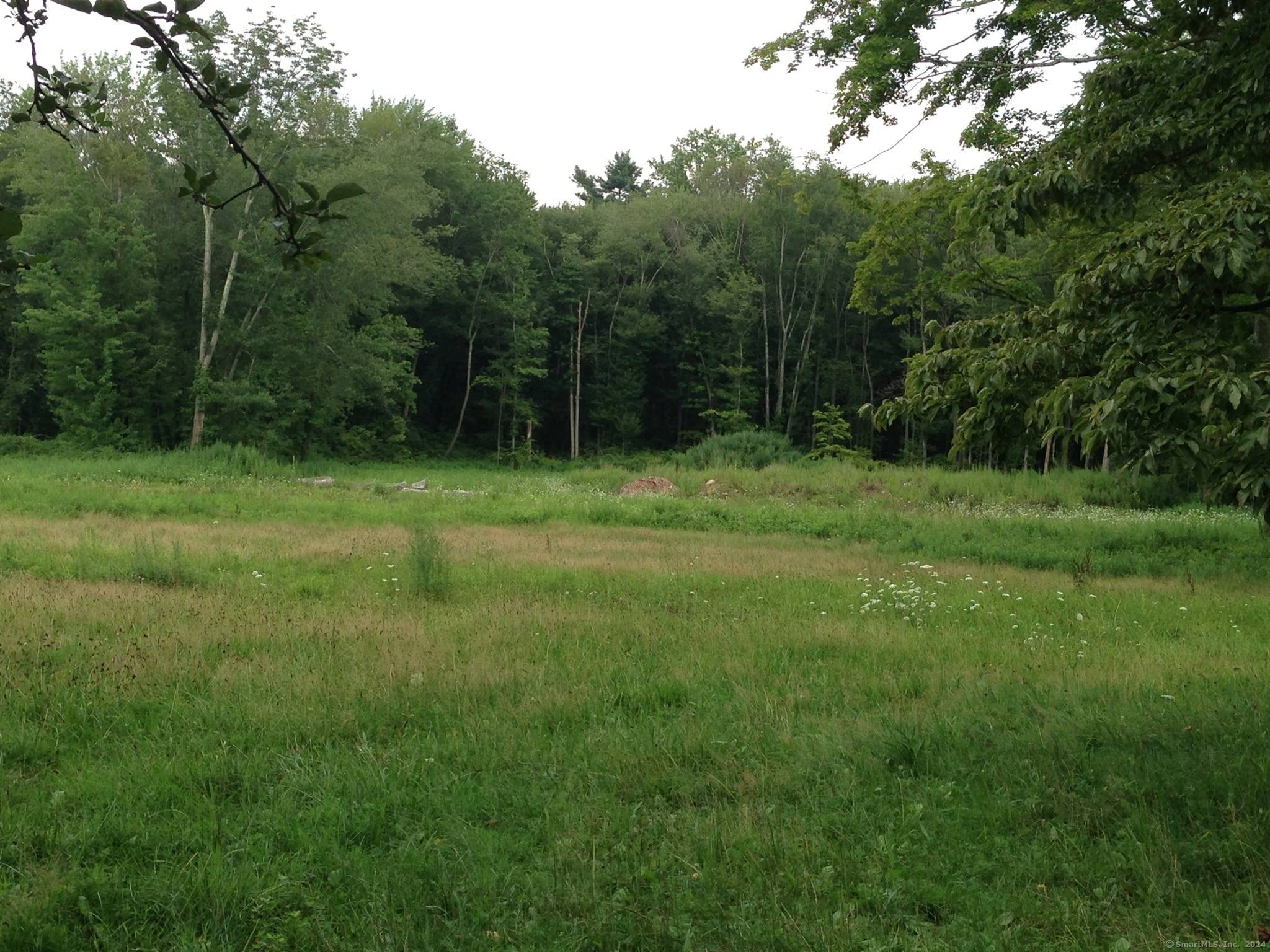 Beautiful level property with approved five bedroom septic.