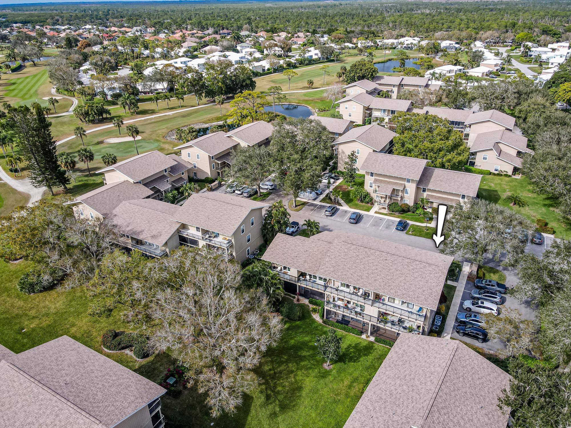 ALL ONE LEVEL SPACIOUS SUNNY !