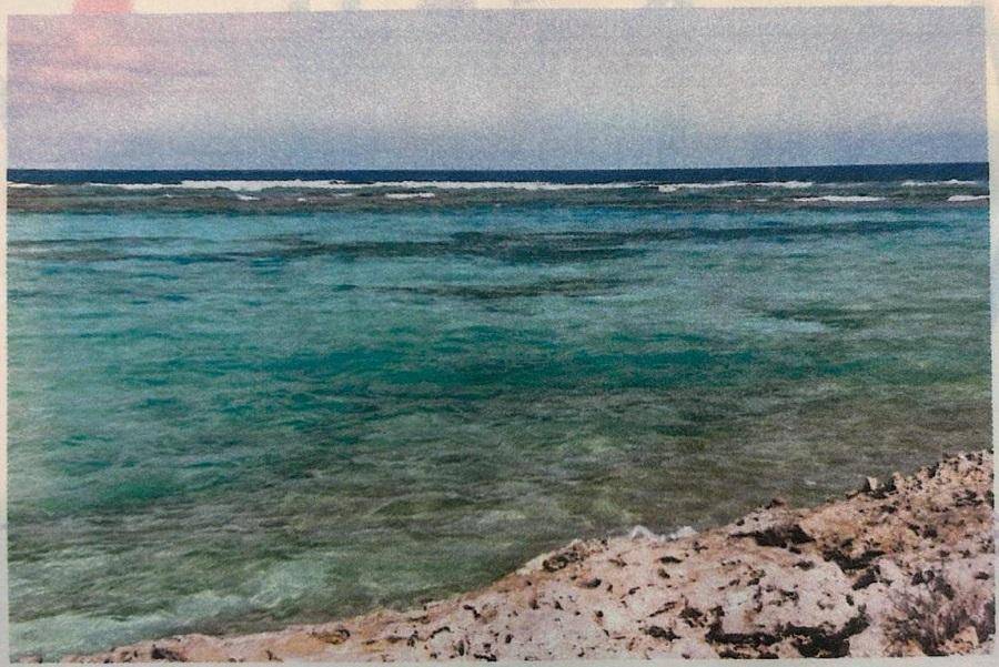 BUNCHES, LONG ISLAND Land Long-Island-Bahamas