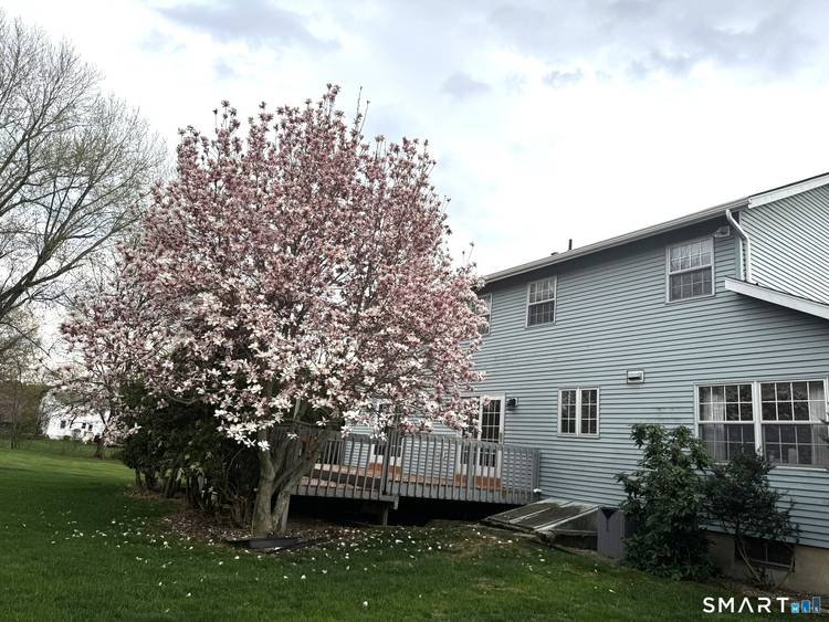 Welcome to this beautiful single family home nestled in a highly sought after, quiet neighborhood.