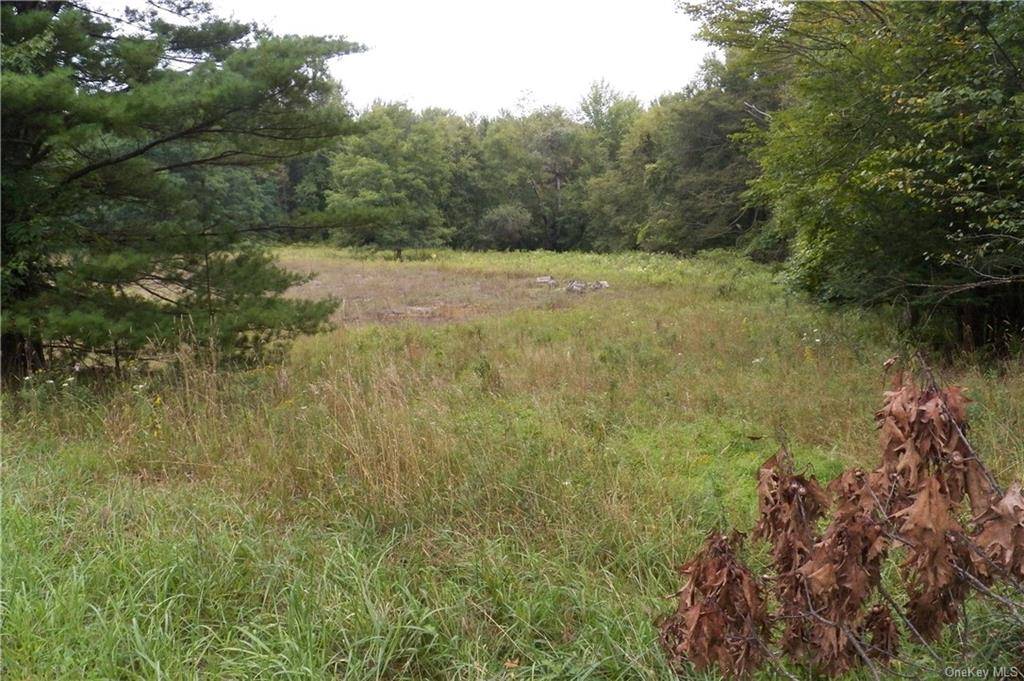 Total of 8. 9 acres. 5. 8 acres in the Town of Mamakating and 3.