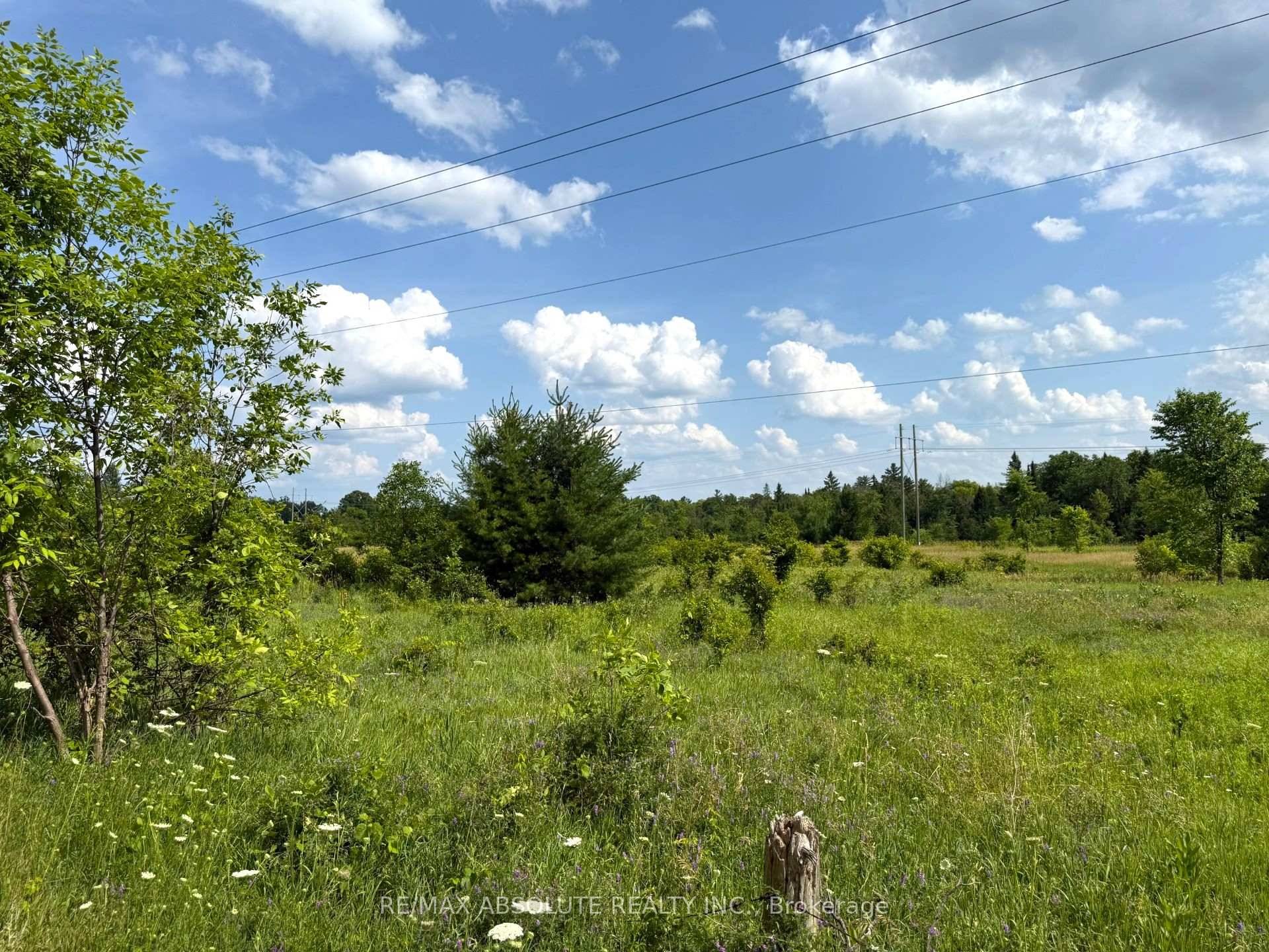 Lovely building lot offering the perfect canvas to bring your vision to life !