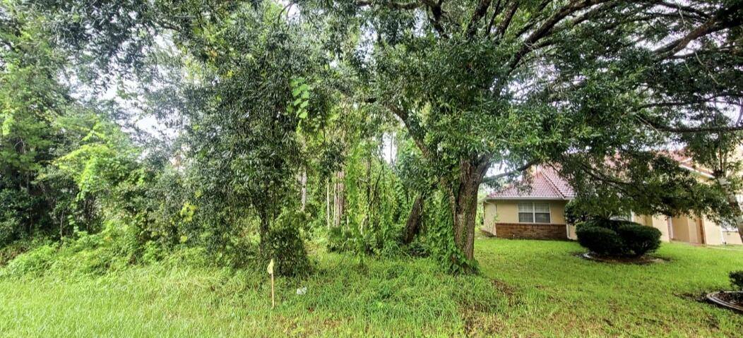 This Palm Coast lot offers an ideal location to create your dream home in a vibrant Florida neighborhood.