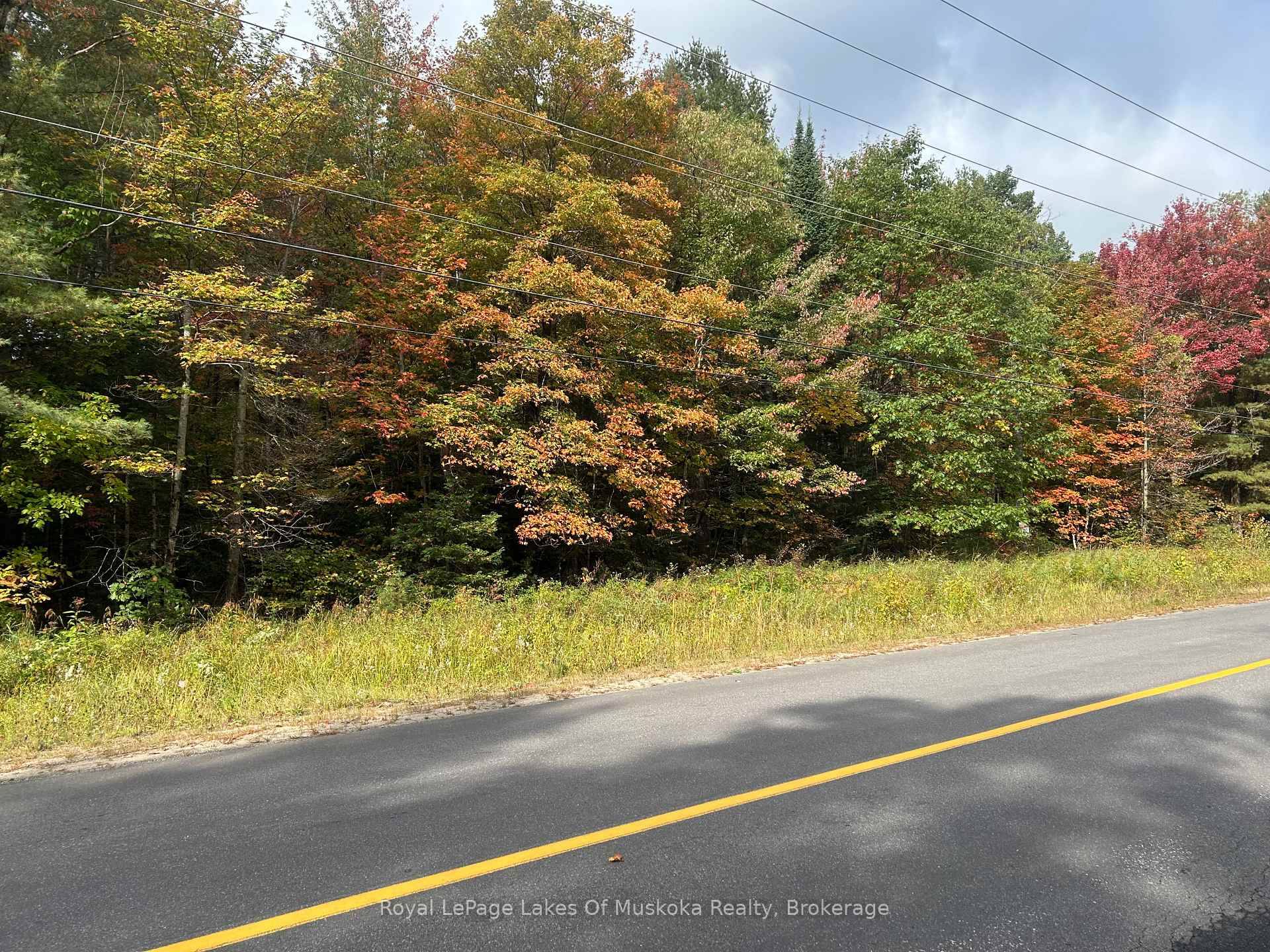 TERRIFIC OPPORTUNITY TO CREATE YOU DREAM HOME HERE ON JUST OVER 14 ACRES OF WOODED PRIVACY.
