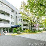 luxury, spacious and bright 2 br 2.