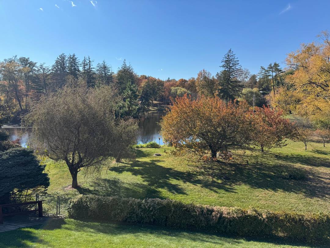 Welcome to 193B Park Street, a spacious 4 bedroom condominium offering spectacular year round views of New Canaan's beloved Mead Park.