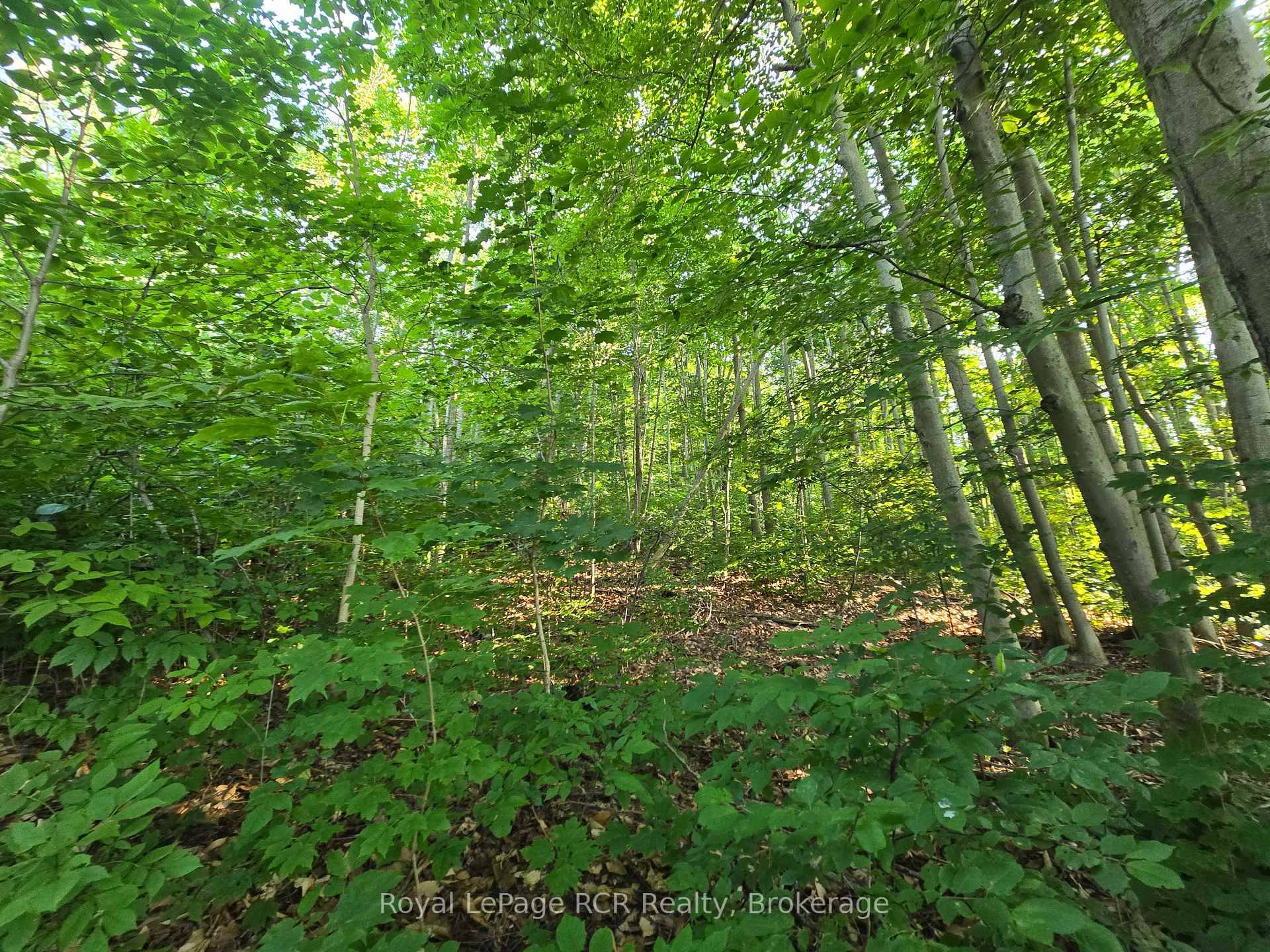 Great building Lot in a highly desirable area !