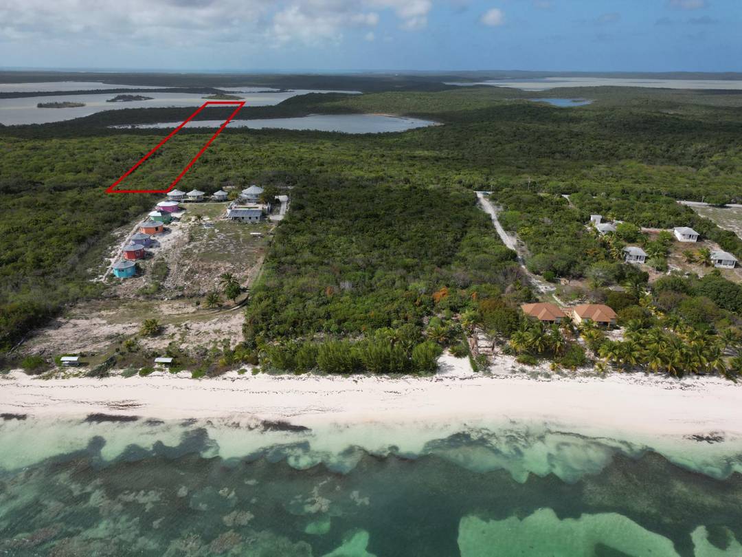 FLAMINGO BAY, CAT ISLAND Land Cat-Island