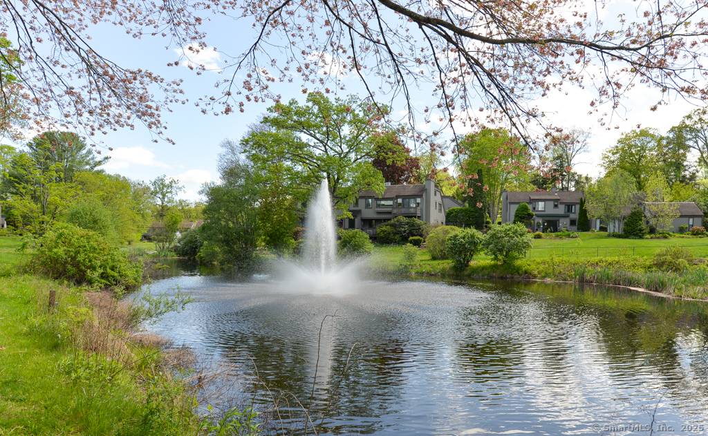 A remarkable opportunity to own a fully renovated Country House in 55 Heritage Village with direct frontage and views of a pond with fountain !