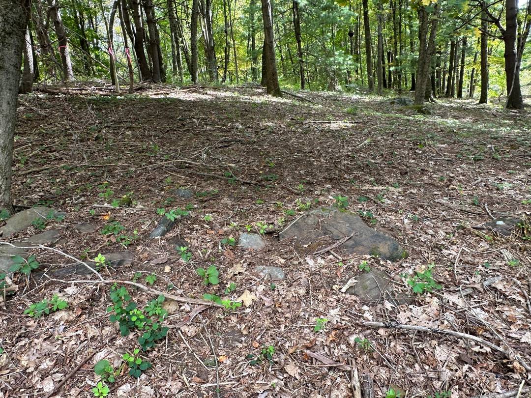 Historic Warren, Connecticut land for sale on Sackett Hill Road the 26.