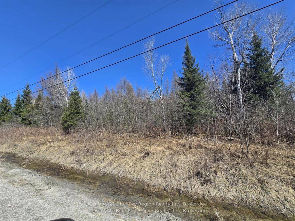Embrace the serenity of country living with this picturesque 10 acre property in Crystal Falls, ON.