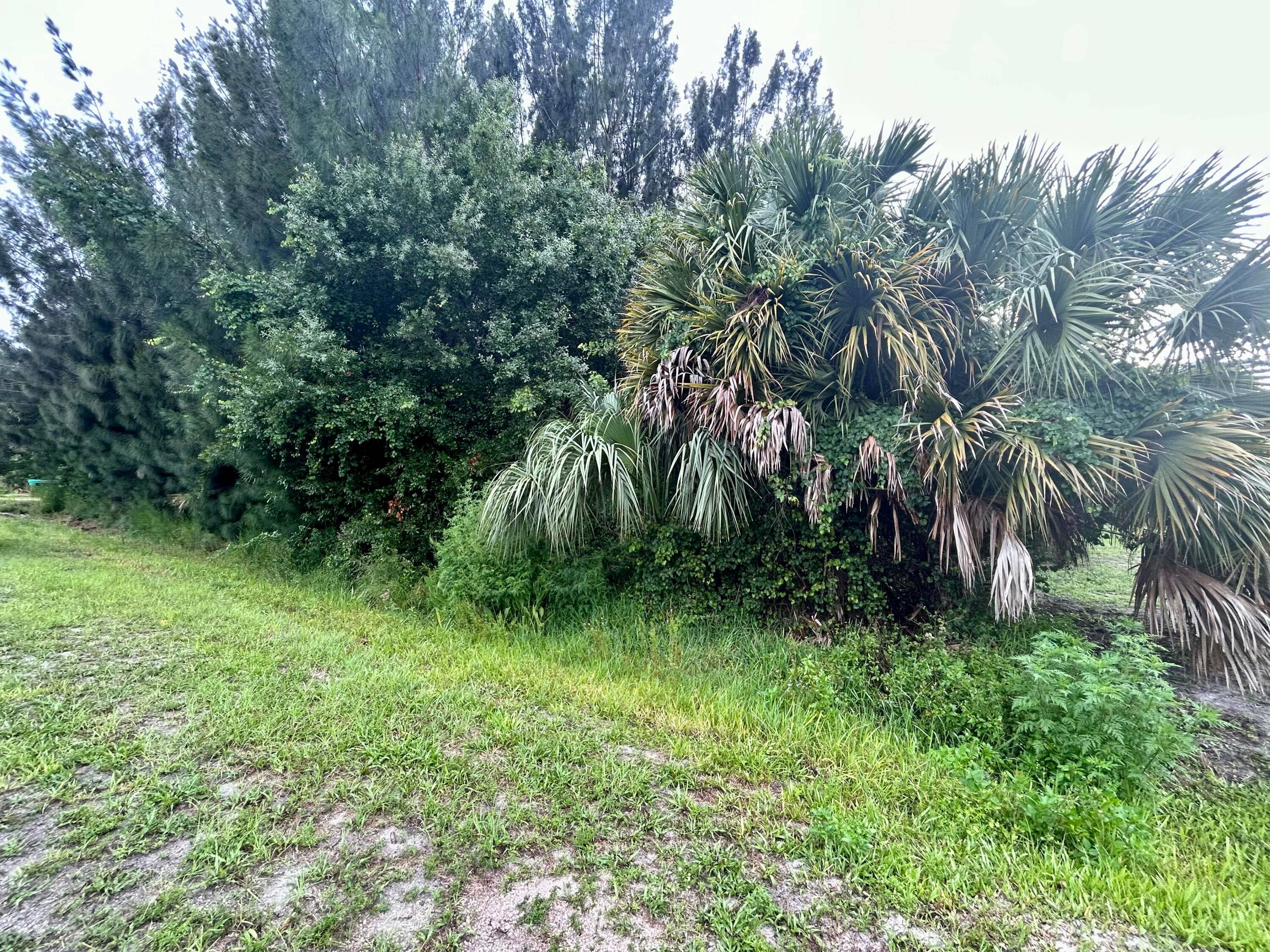 Wooded lot ready to build your future home.