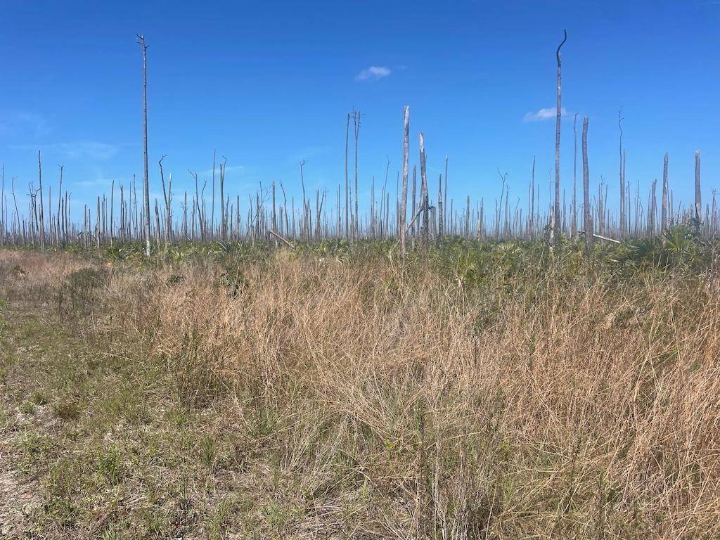 LUCAYA ESTATES LOT Land Grand-Bahama-Freeport