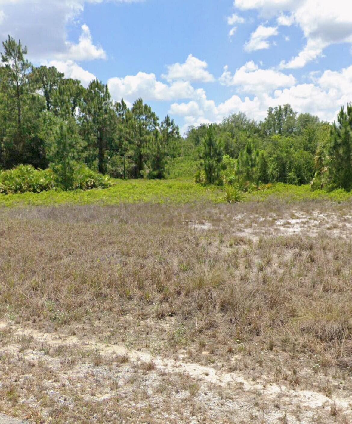 Build your Florida retreat on this 1 2 acre 100' x 200' approx.
