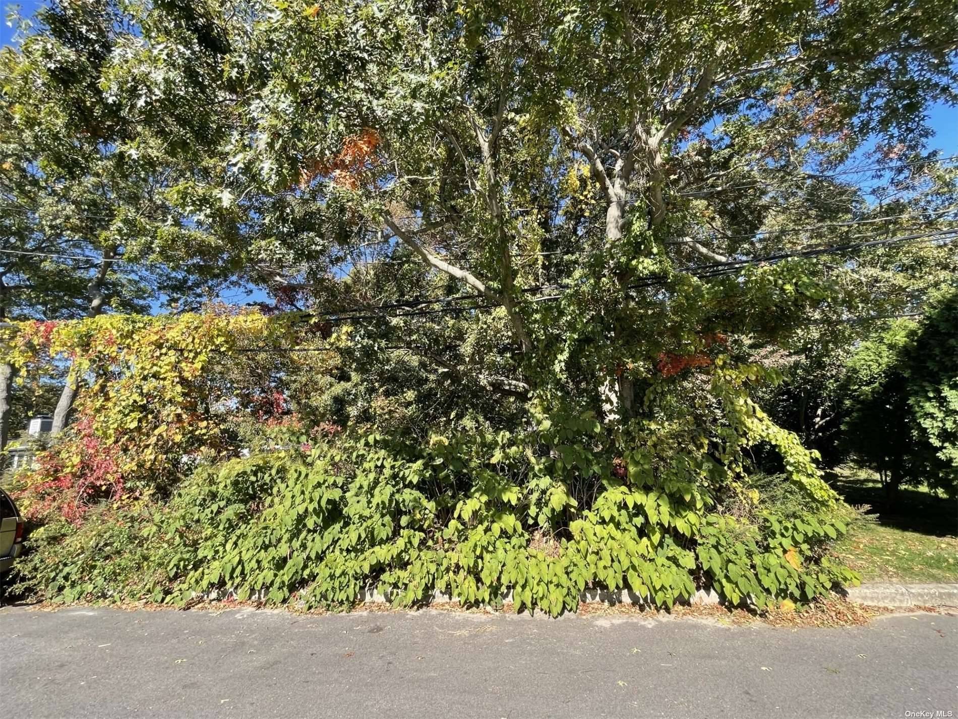 Vacant Lot for sale. Ideal opportunity to develop property build on a quiet street !