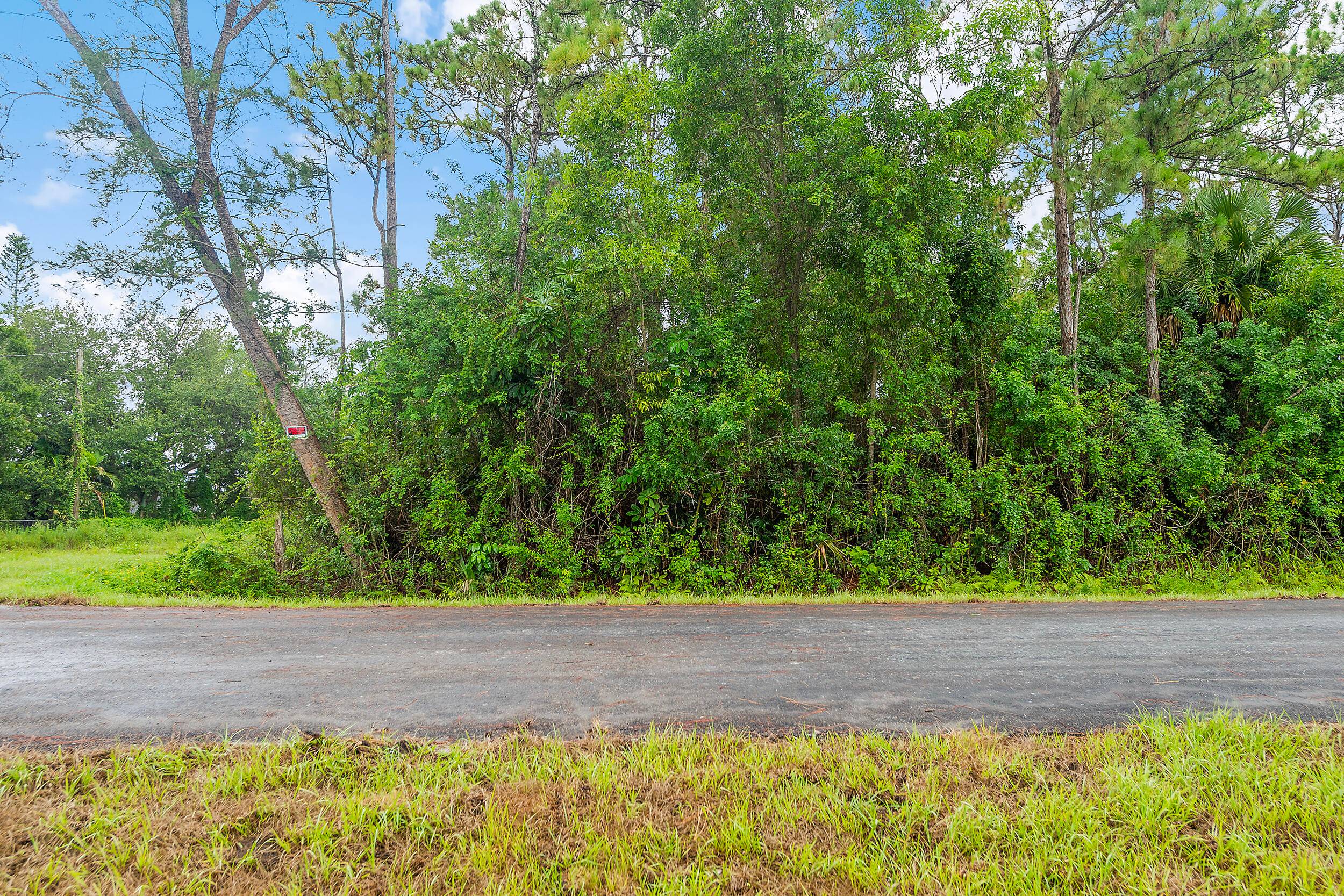This high and dry vacant lot sits off a newly paved street and offers the perfect blend of privacy and natural beauty.