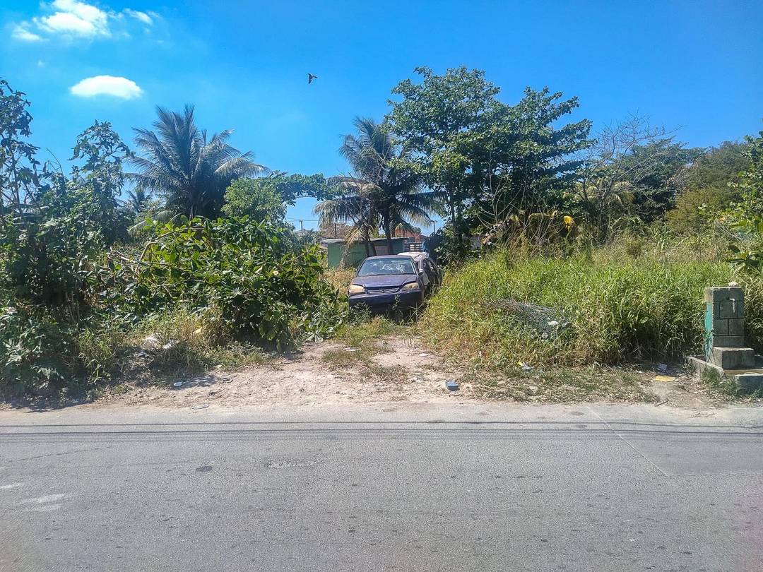 WILSON TRACK Land New-Providence