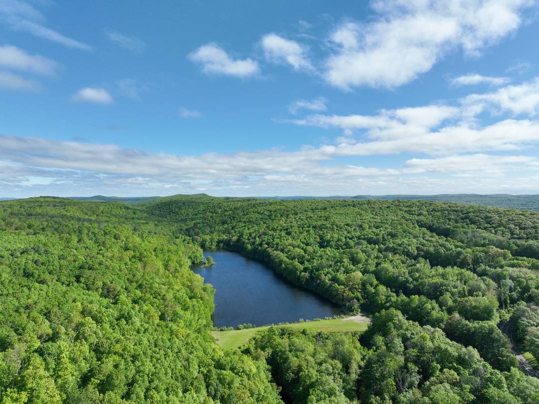 SPECTACULAR 353 ACRES WITH 25 ACRE LAKE !