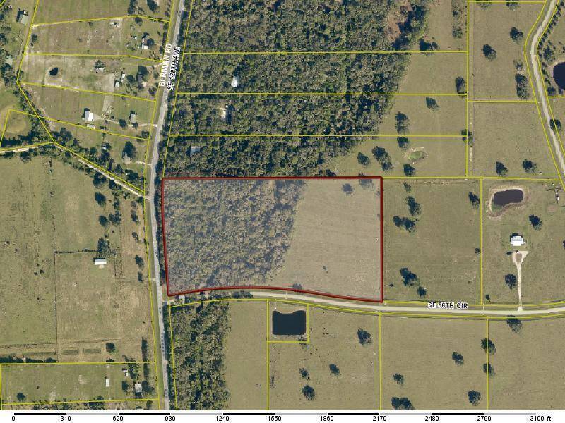Prime 20 Acre Estate in Okeechobee, FL.
