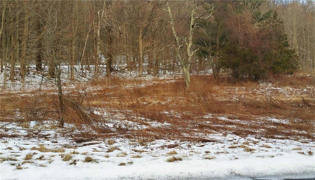 Looking for the perfect spot for a sub division ?