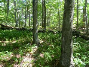 26 Acs of private wooded land with fairway green frontage on the Black Hall Club Championship Golf Course.