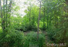 Wooded 82 acre lot for sale.