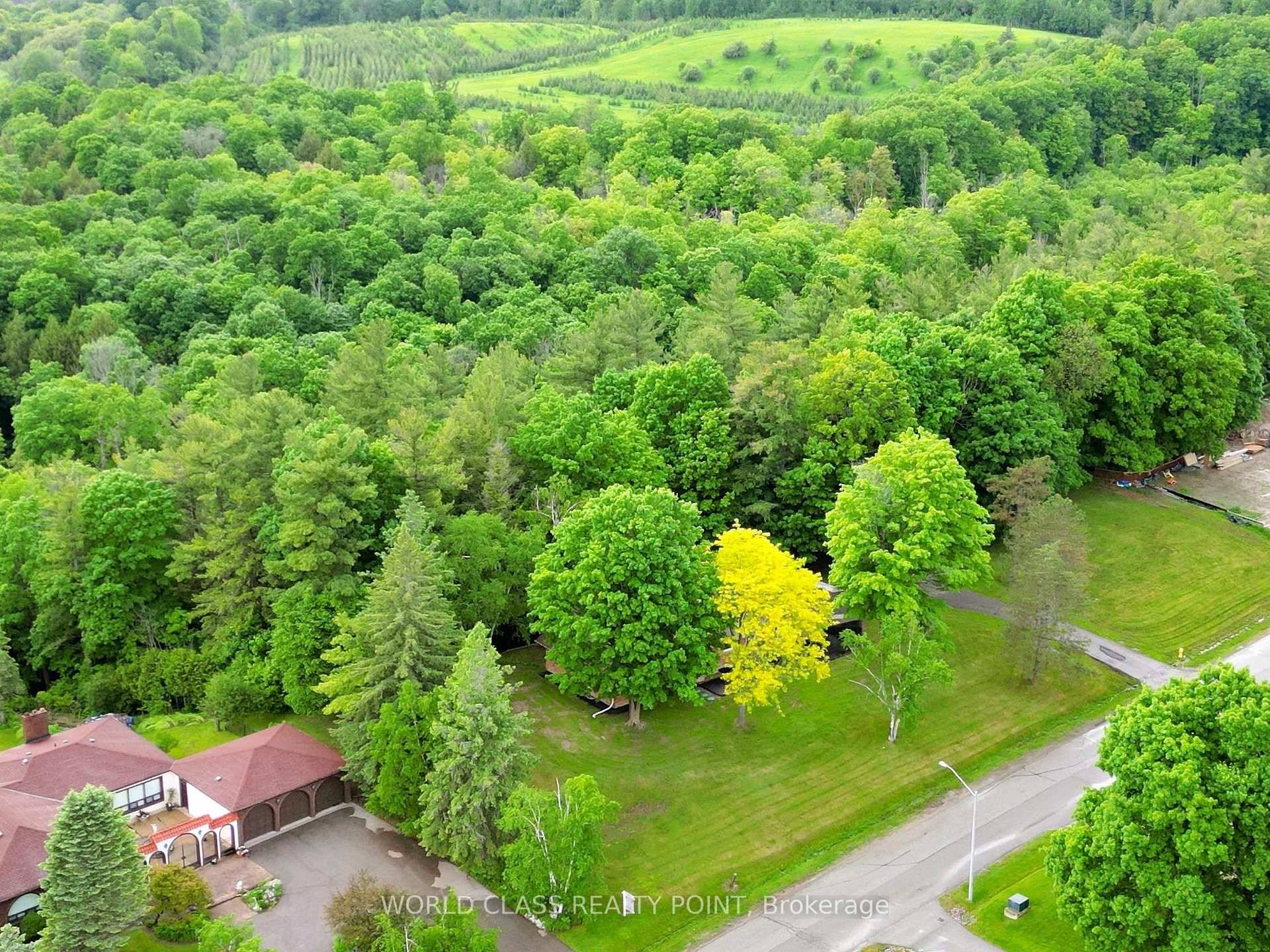 This Fully Renovated Bungalow Sits On 2 Acres Of Verdant Beauty That Backs Onto Ravine.