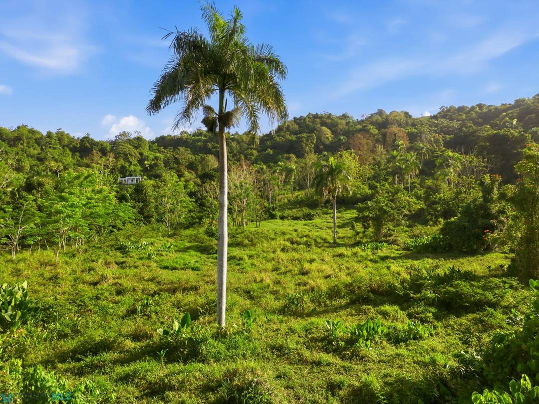 PR 852 Land Trujillo-Alto