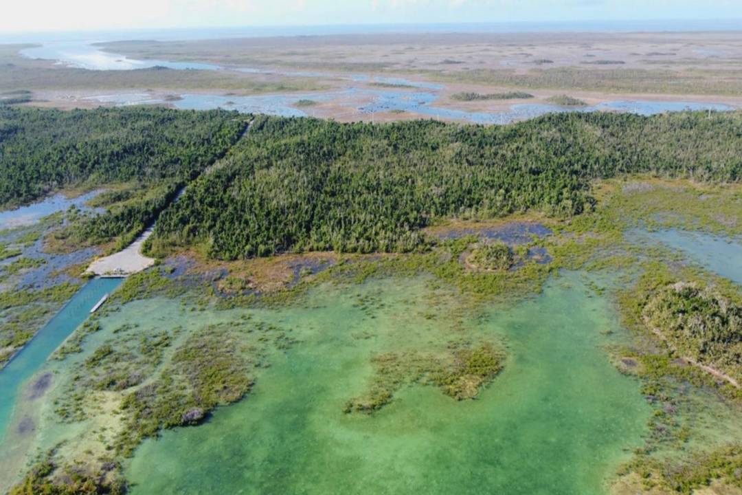 20 ACRES BY TREASURE CAY Land Abaco