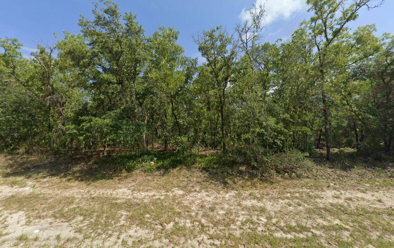 Rare opportunity to own a half acre of land in the desirable Marion Oaks area !
