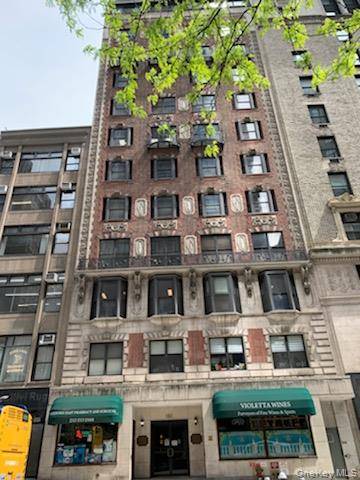 The sale may be subject to the terms amp ; conditions of an offering plan.