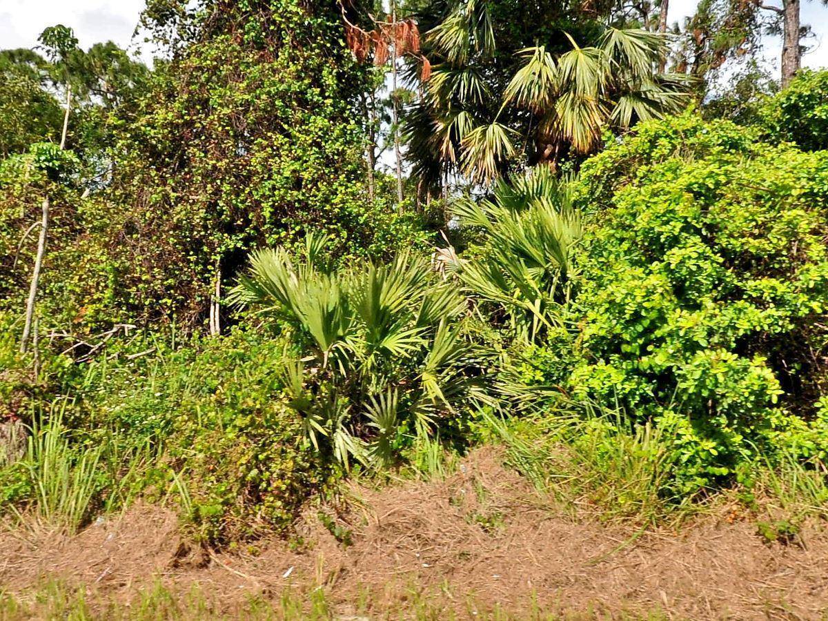 131 SW Pisces Terrace Land Palm Beach