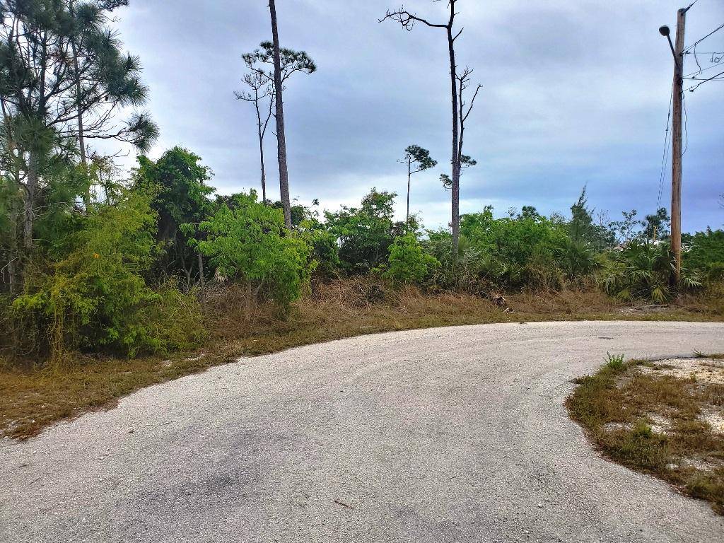 ARDEN FOREST LOT 49 Land Grand-Bahama-Freeport