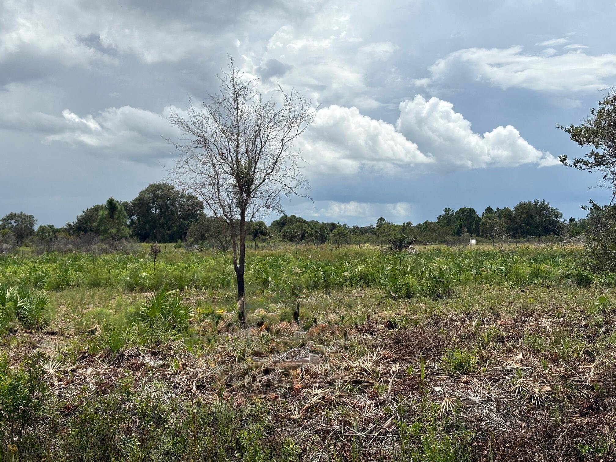 1. 25 acre residential lot in Okeechobee, FL.
