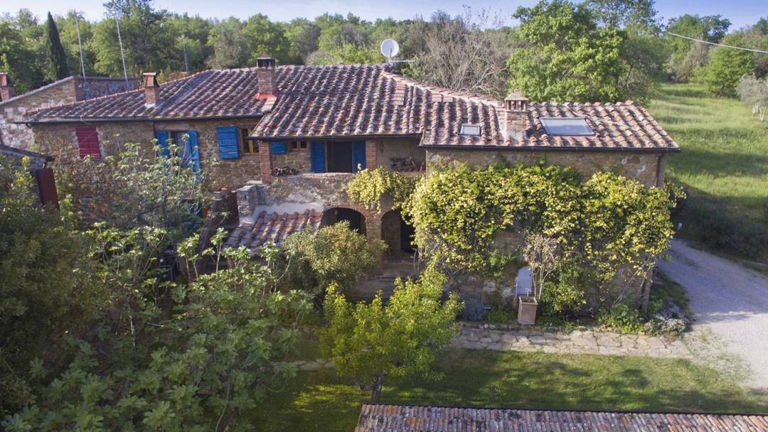 On sale restored antique house in Tuscany with garden near Rigomagno with olive grove. Farmhouse divided into two apartments near Siena