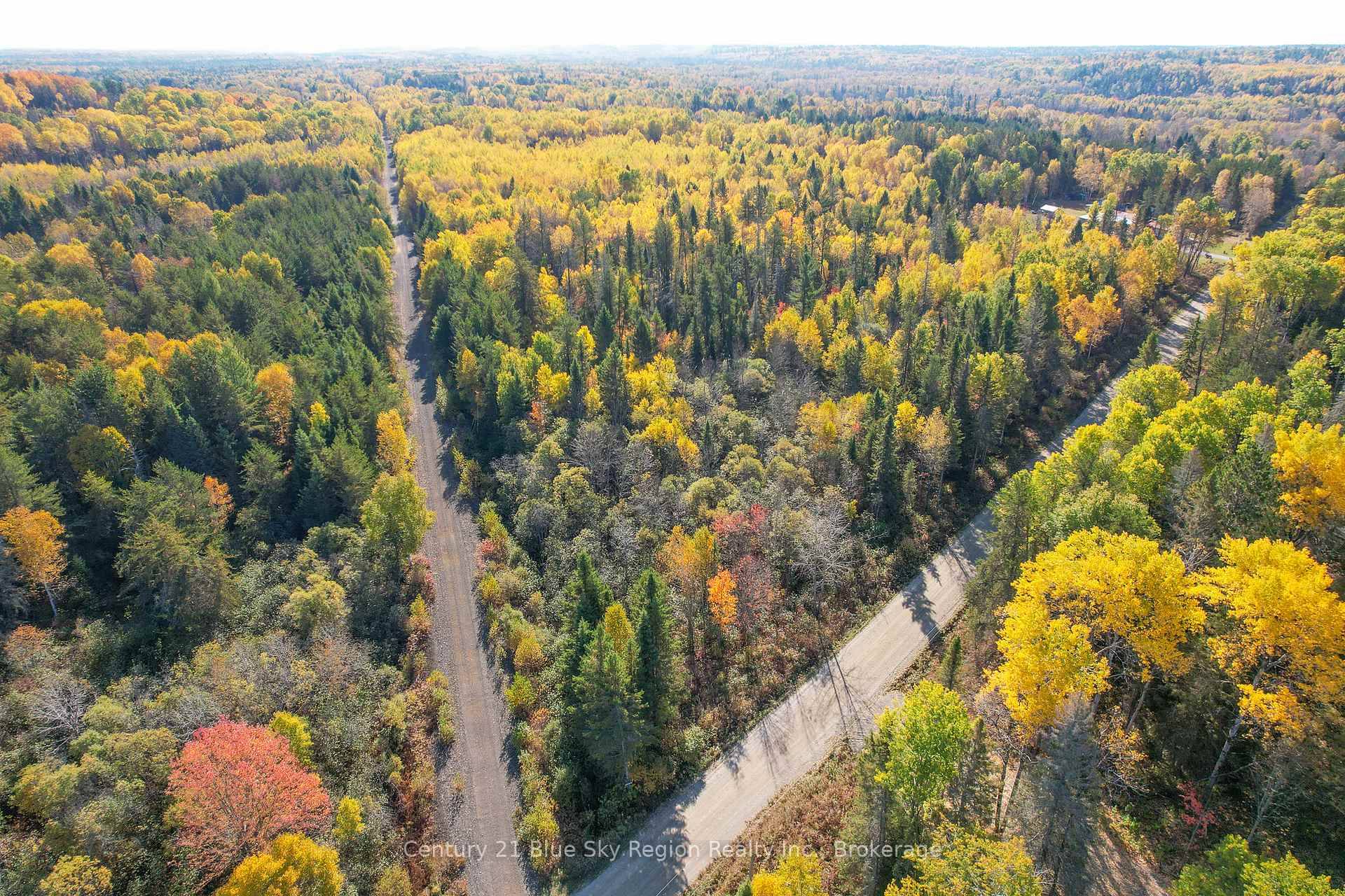 Discover peace and privacy on the beautifully treed parcel of vacant land.