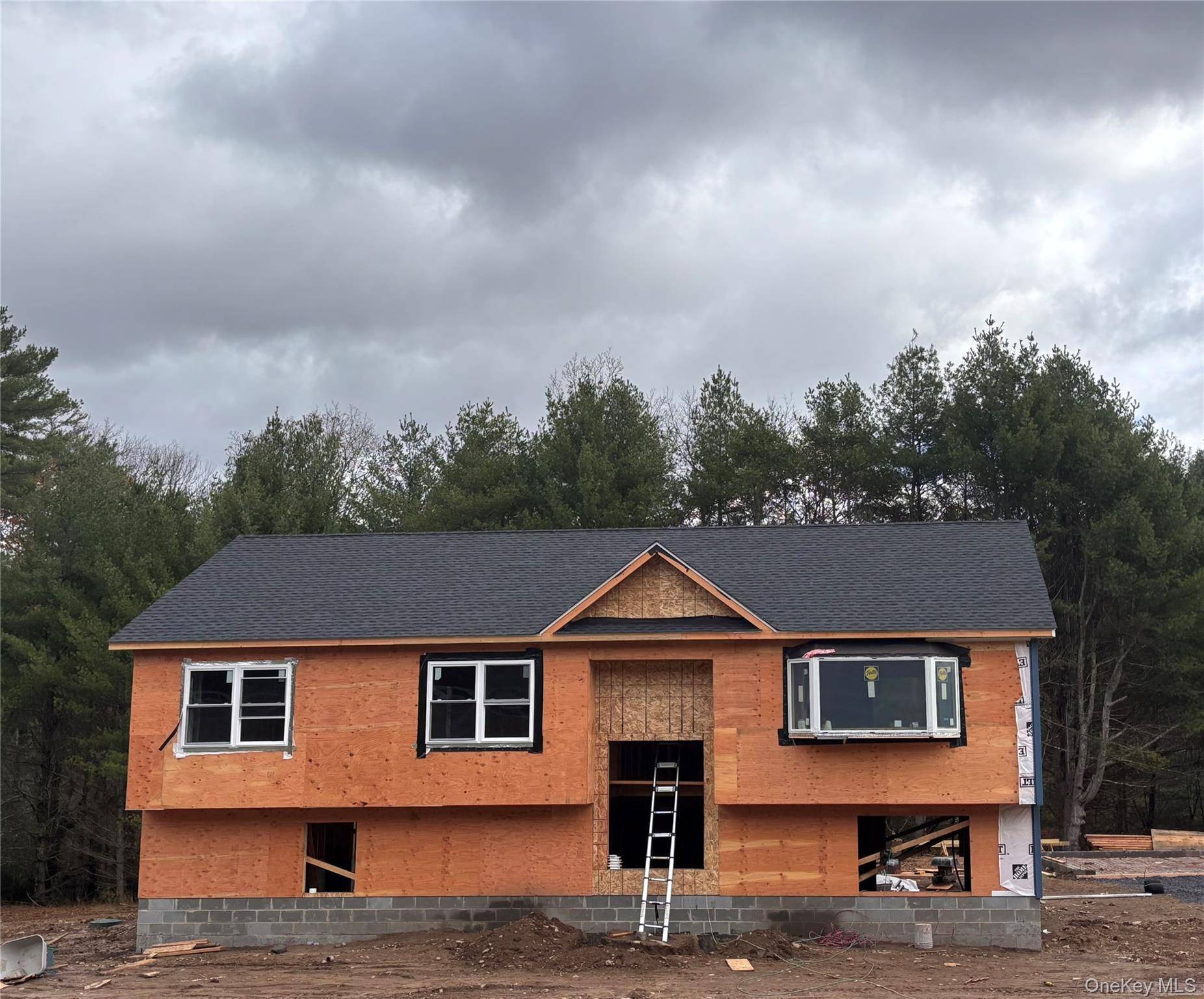 NEW CONSTRUCTION Discover your dream home in New York's verdant hills a brand new four bedroom, three bathroom ranch style gem with a thoughtful mother and daughter layout.