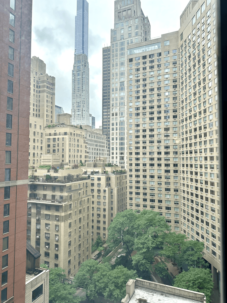 EXTREMELY EASY TO SHOW BRIGHT LIGHT SOUTH FACING BIG OPEN VIEWS.