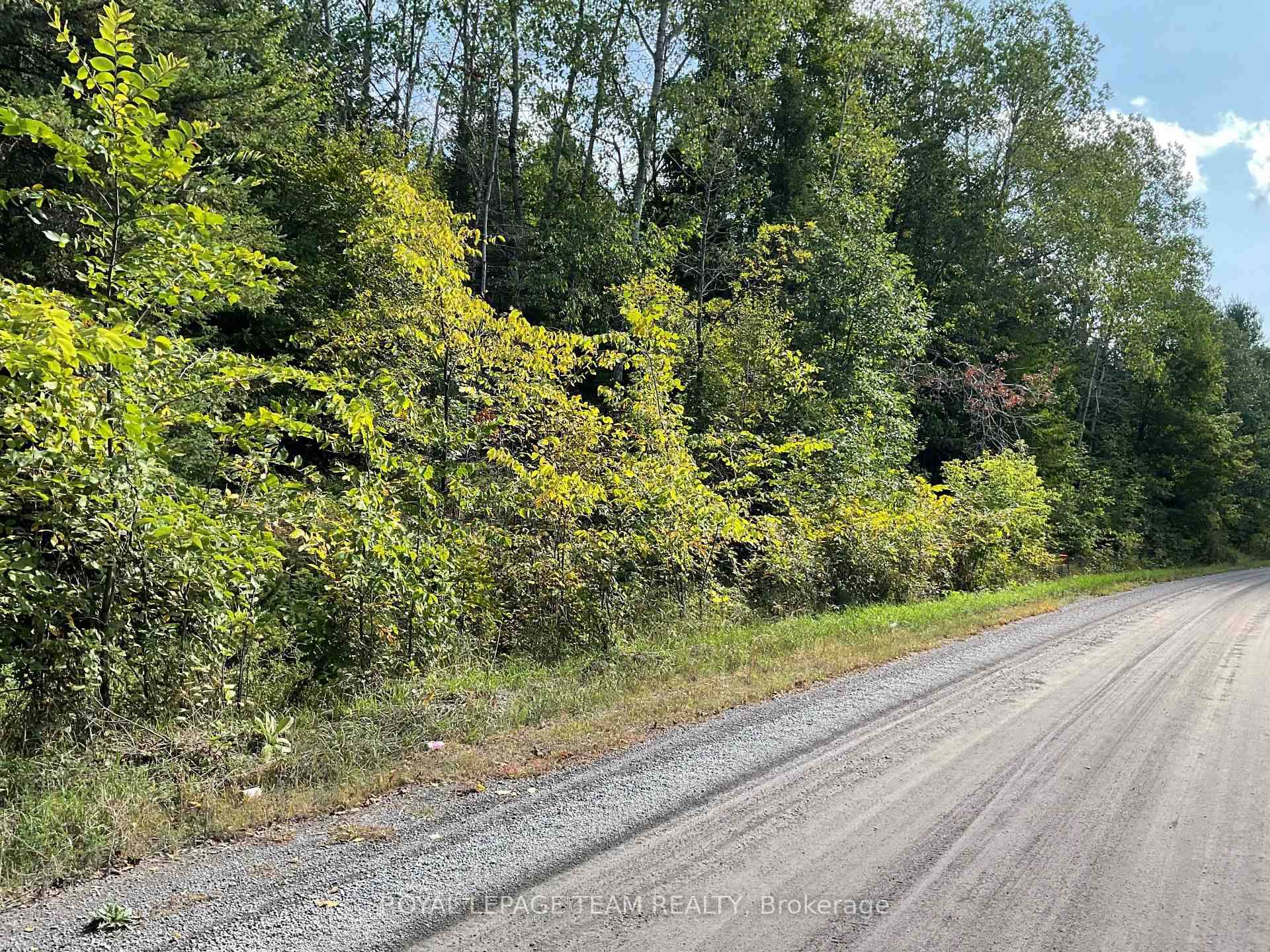 It is your choice ! There are 2 beautifully treed 5 acre lots to choose from.