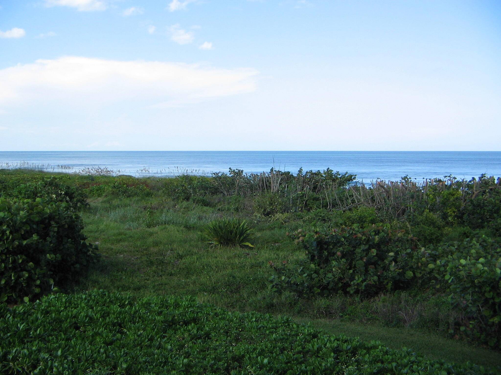 Approx 105 feet of ocean frontage !